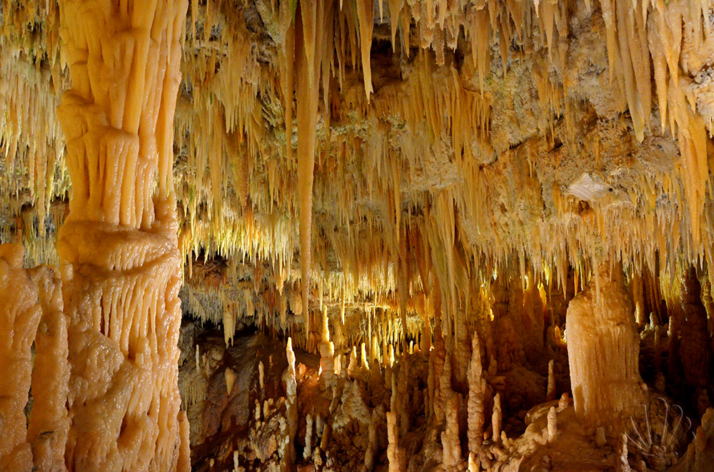 Grotte di Castellana
